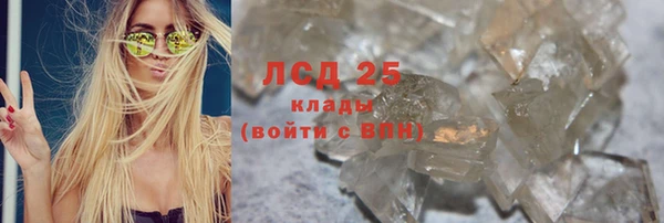 ПСИЛОЦИБИНОВЫЕ ГРИБЫ Верея