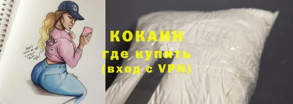ПСИЛОЦИБИНОВЫЕ ГРИБЫ Верея