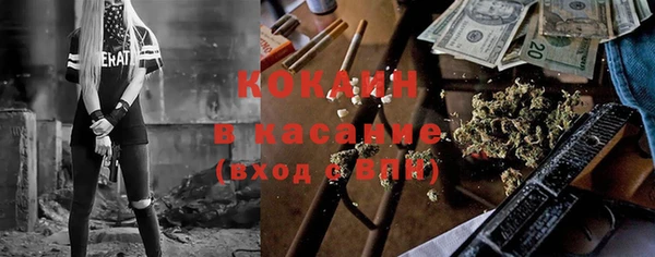 ПСИЛОЦИБИНОВЫЕ ГРИБЫ Верея