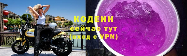 ПСИЛОЦИБИНОВЫЕ ГРИБЫ Верея