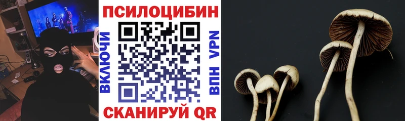 Галлюциногенные грибы Cubensis  купить закладку  Кировград 